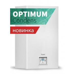 Газовый котел Thermona THERM 14 KDZN