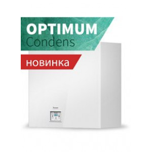 Газовый котел Thermona THERM 24 KDZN 5